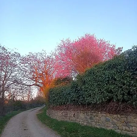 Alda Jolio Hotel 2*